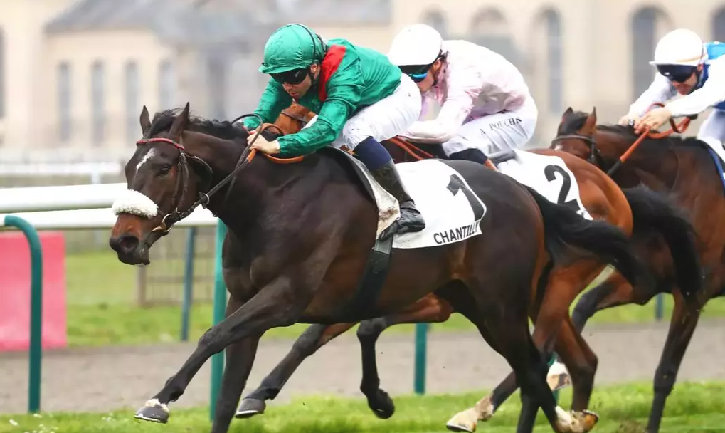 quintechevalturf